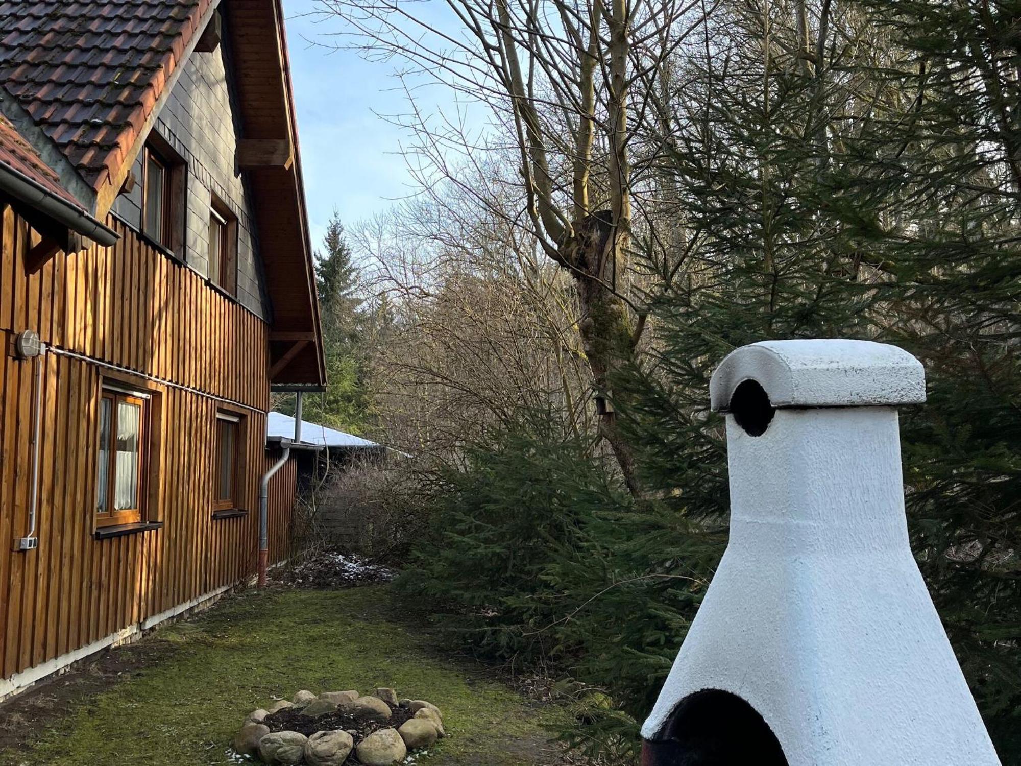 Holiday Home Hexenstieg In The Harz Mountains Еленд Екстериор снимка